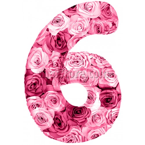 Шар цифра 6 «Симфония роз» 86 см.