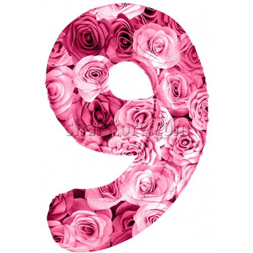 Шар цифра 9 «Симфония роз» 86 см.